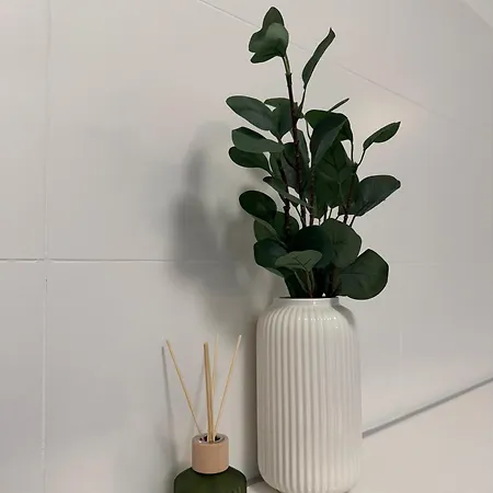 Fresh Garden Casa Mimo 公寓 希欧福克