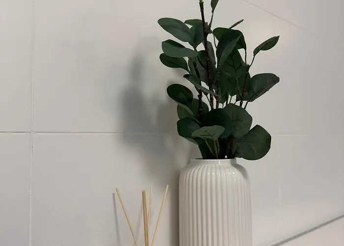 Fresh Garden Casa Mimo 公寓 希欧福克